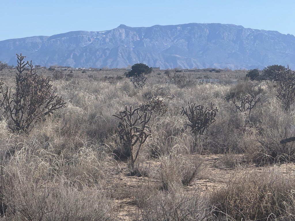 U8 B41 L16 Hidalgo Road SW — 1.1 acres of land in Rio Rancho / Sandoval County (photo 1 of 10)